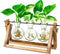 Glass Planter Bulb Vase with Retro Solid Wooden Stand and Metal Swivel Holder for Hydroponics Plants
